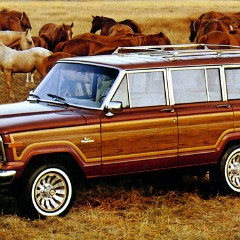 1984-Jeep 1984-Jeep
